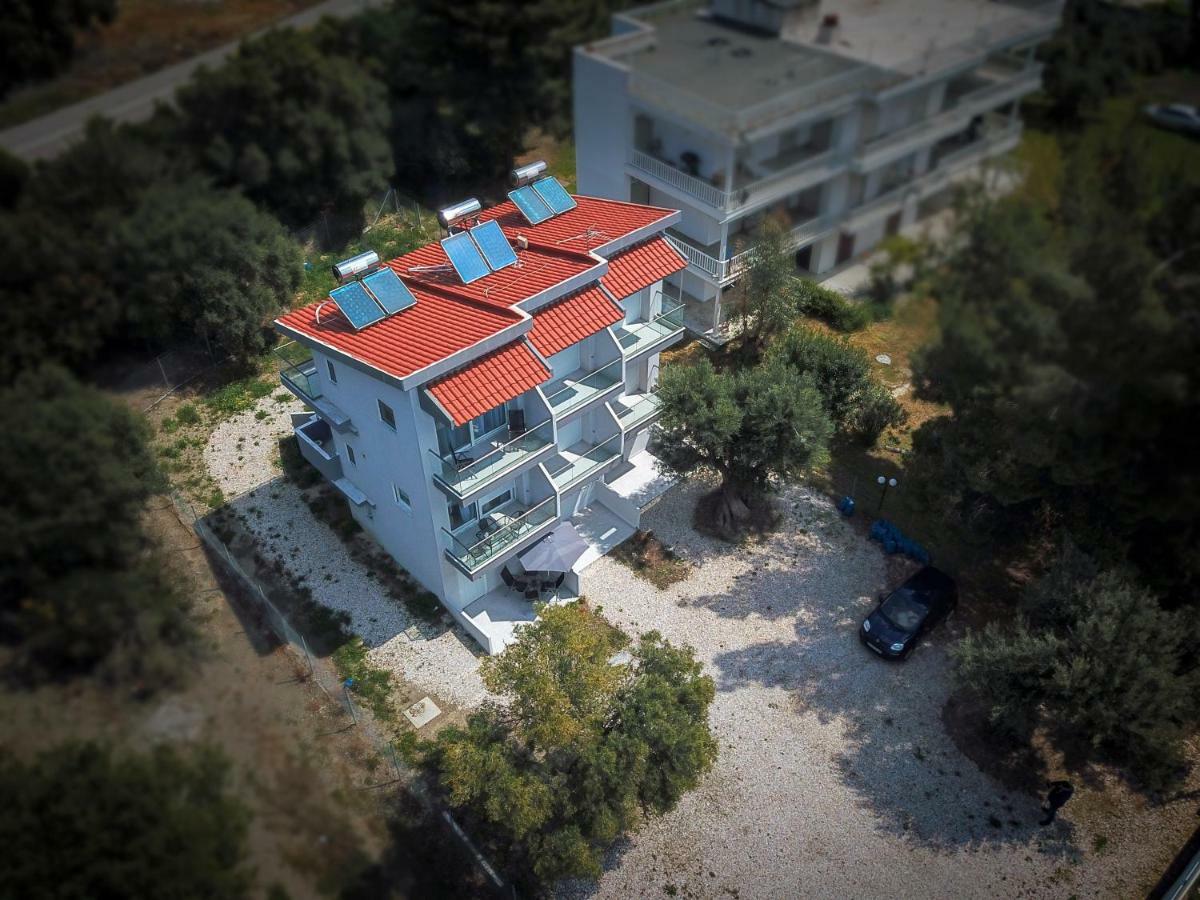 Akti Alegra Apartment II 尼基季 外观 照片